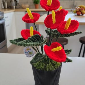 The Everlasting Anthurium, Handmade Vase, Fuzzy wire creations, Pipe Cleaner Flowers, Artificial Home Decor, Gifts, Anniversary, Birthday