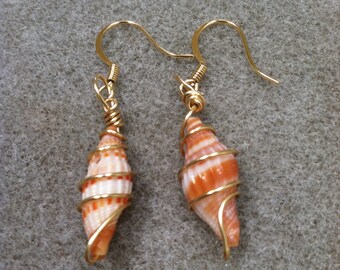 Wire-wrapped Shell French Hook Earrings