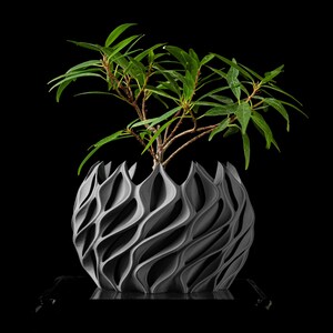 Può includere: Un vaso grigio scultoreo con un design unico a forma di onda. Il vaso contiene una piccola pianta con foglie verdi e steli marroni. Il vaso decorativo moderno è posto su uno sfondo nero, evidenziando la sua forma intricata.