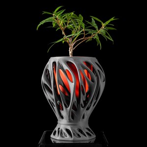 Può includere: Una piccola pianta verde in un vaso grigio stampato in 3D con un design organico unico. Il vaso ha una struttura cava e traforata che rivela un interno rosso.