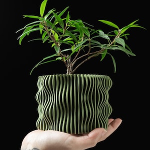 Könnte beinhalten: Eine kleine grüne Pflanze in einem dekorativen, wellenförmigen, olivgrünen Pflanzgefäß. Das Pflanzgefäß wird in einer Hand vor einem schwarzen Hintergrund gehalten. Die Pflanze hat grüne Blätter und braune Stiele. Das Pflanzgefäß hat ein Design mit vertikalen, geschwungenen Linien.