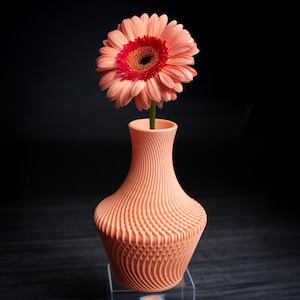 Può includere: Un vaso color pesca con un design strutturato e scanalato contiene una margherita gerbera. Il fiore ha petali color pesca con un centro rosso e un centro scuro. Il vaso è su un supporto trasparente su sfondo scuro.