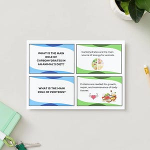 May include: Four educational cards with text about animal nutrition. The cards are white with blue and green borders. The text includes questions about carbohydrates and proteins, and their roles in an animal's diet. A pencil, notebook, and plant are also visible.