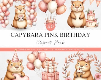 Clipart de cumpleaños de capibara rosa / Decoración de fiesta en acuarela ruborizada PNG / Pastel, regalos, arco de globos, números del 0 al 9 / Descarga digital