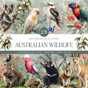 Australian Native Wildlife Clipart | 28 Watercolor Aussie Animals & Botanicals PNG | Kangaroo, Koala, Kookaburra, Wombat | Commercial Use