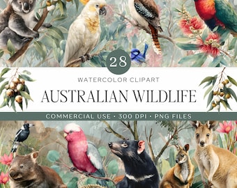 Imágenes prediseñadas de fauna autóctona australiana / 28 animales y plantas australianas en acuarela PNG / Canguro, koala, cucaburra, wombat / Uso comercial