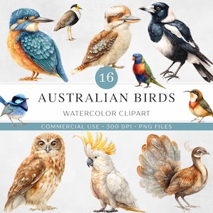 May include: Watercolor clipart featuring 16 Australian birds in various poses. The image includes a kingfisher, kookaburra, magpie, owl, and cockatoo. Text reads "Australian Birds Watercolor Clipart Commercial Use 300 DPI PNG Files."