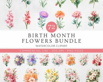 Paquete de imágenes prediseñadas de flores del mes de nacimiento / 72 imágenes PNG florales en acuarela / Flores de cumpleaños / Ramo y tallos / Uso comercial (descarga digital)