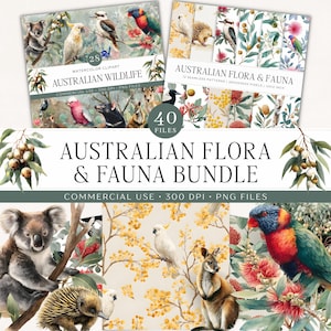 Paquete de acuarelas de fauna australiana / 28 imágenes prediseñadas australianas en formato PNG / 12 patrones botánicos nativos sin costuras / Koala y eucalipto / Uso comercial