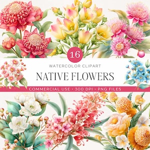 Imágenes prediseñadas de acuarela de flores nativas australianas / 16 imágenes PNG botánicas en tonos pastel suaves / Flor silvestre Banksia Waratah Kangaroo Paw / Uso comercial