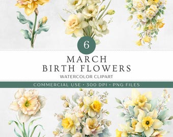 Imágenes prediseñadas de flores del mes de marzo / 6 narcisos y junquillos en acuarela PNG / Ramo, flores en cascada, flores de tallo único / Cumpleaños de Piscis y Aries