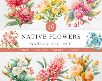 Australian Native Flowers Watercolor Clipart | 16 Soft Pastel Botanical PNG | Waratah Kangaroo Paw Banksia Wildflower | Commercial Use