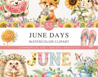 Imágenes prediseñadas del calendario de junio / 35 imágenes PNG de acuarela veraniega brillante / Pegatinas para agendas, diarios, conjunto de imágenes prediseñadas mensuales de temporada / Uso comercial