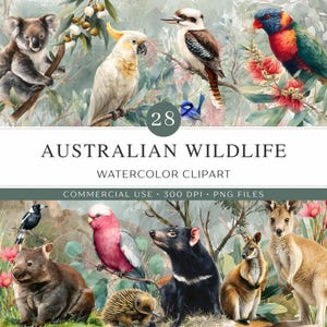 Australian Wildlife Clipart PNG | Native Aussie Animals & Botanical Set | Flora and Fauna Watercolor Illustrations | Commercial Use