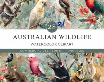 Imágenes prediseñadas de fauna autóctona australiana / 28 animales y plantas australianas en acuarela PNG / Canguro, koala, cucaburra, wombat / Uso comercial