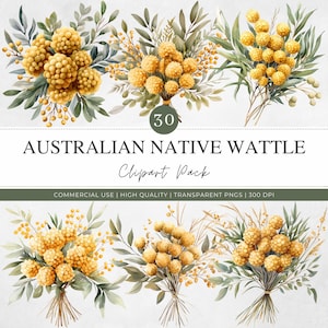 May include: Watercolor clipart pack featuring Australian native wattle. The image shows several bouquets of yellow wattle flowers with green foliage. The text reads "Australian Native Wattle Clipart Pack" with the number "30" in a circle.