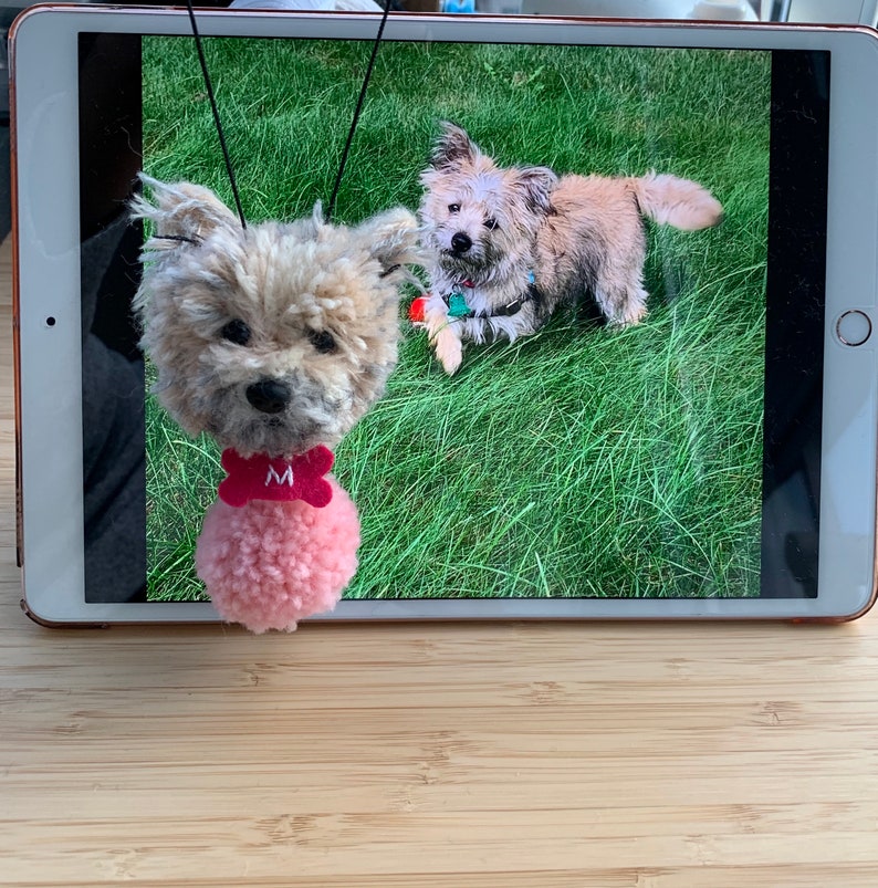 Made to order dog pom poms animal Pom Pom custom dog Etsy
