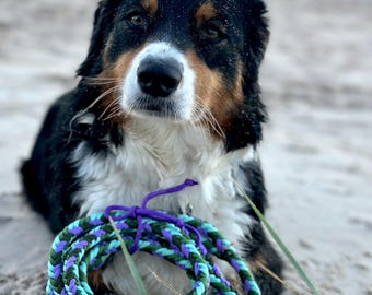 Correa trenzada de paracord para perros – Rosa / Morado / Suave / Resistente / Estilo de vida activo / Playa / Parque / Todas las tallas