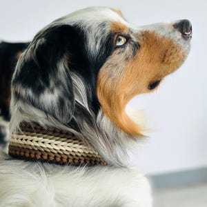 Handmade Adjustable Pet Collar – Brown | Durable Material | Camping | Exploring | Unisex Design | Medium Large breeds