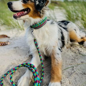 Boho Green Dog Collar & Leash Set from paracord rope