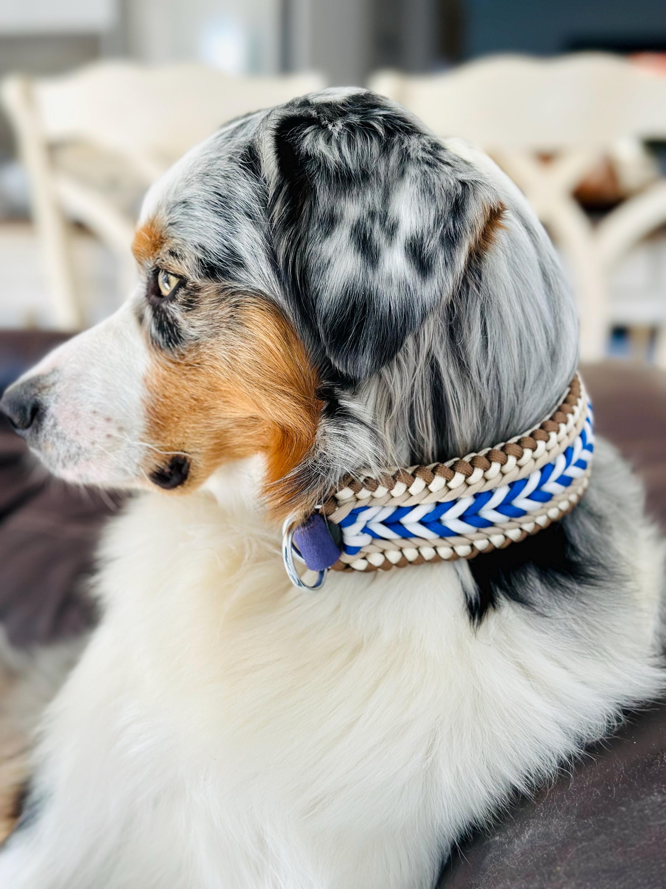 ハンドメイドパラコード犬用首輪 - ブルー | ブラウン | 調節可能