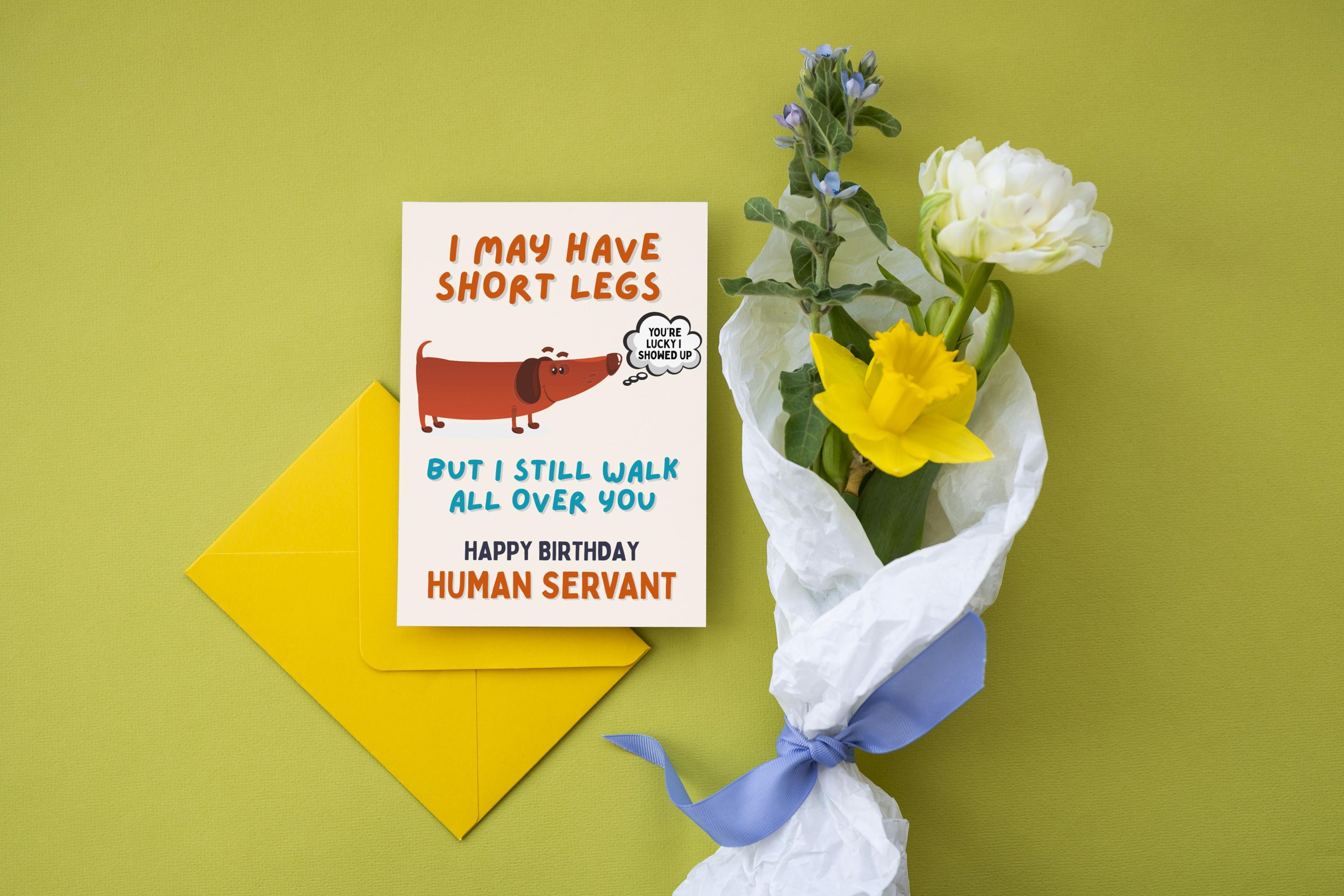 Funny Dachshund Birthday Card – Printable Foldable Dog Card – Instant ...