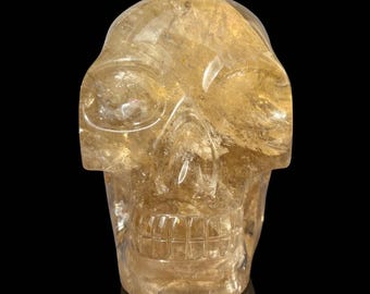 Large Citrine Crystal Skull – Hand-Carved  by Walmere - Top-quality Citrine - 100% Natural