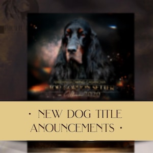 May include: A black and brown dog with a serious expression. The dog is in front of a colorful background with the text "New Dog Title Announcements" at the bottom.