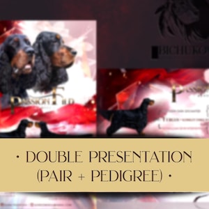 May include: Double presentation of a pair of black and brown dogs with a red and white background. The text "DOUBLE PRESENTATION (PAIR + PEDIGREE)" is at the bottom of the image.