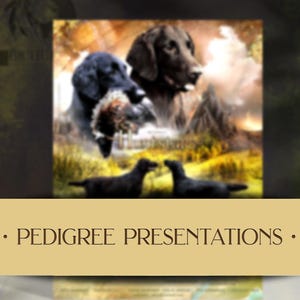 May include: A digital illustration of four black dogs in a forest setting. The dogs are in various poses, with one holding a bird in its mouth. The background is a blurred image of trees and a sunset.
