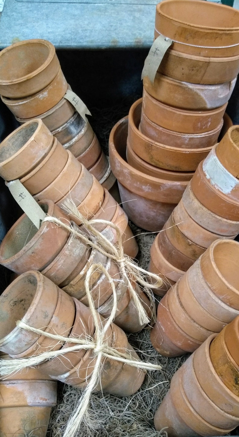 Terra Cotta Flower Pot Vintage Weathered Patina Greenhouse Etsy