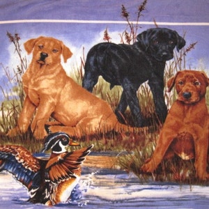 May include: A colorful illustration of three dogs and a duck. Two brown dogs, one black dog, and a wood duck with blue, brown, and white feathers. The dogs are sitting in a grassy area with tall green grass and brown reeds. The duck is swimming in a blue pond.