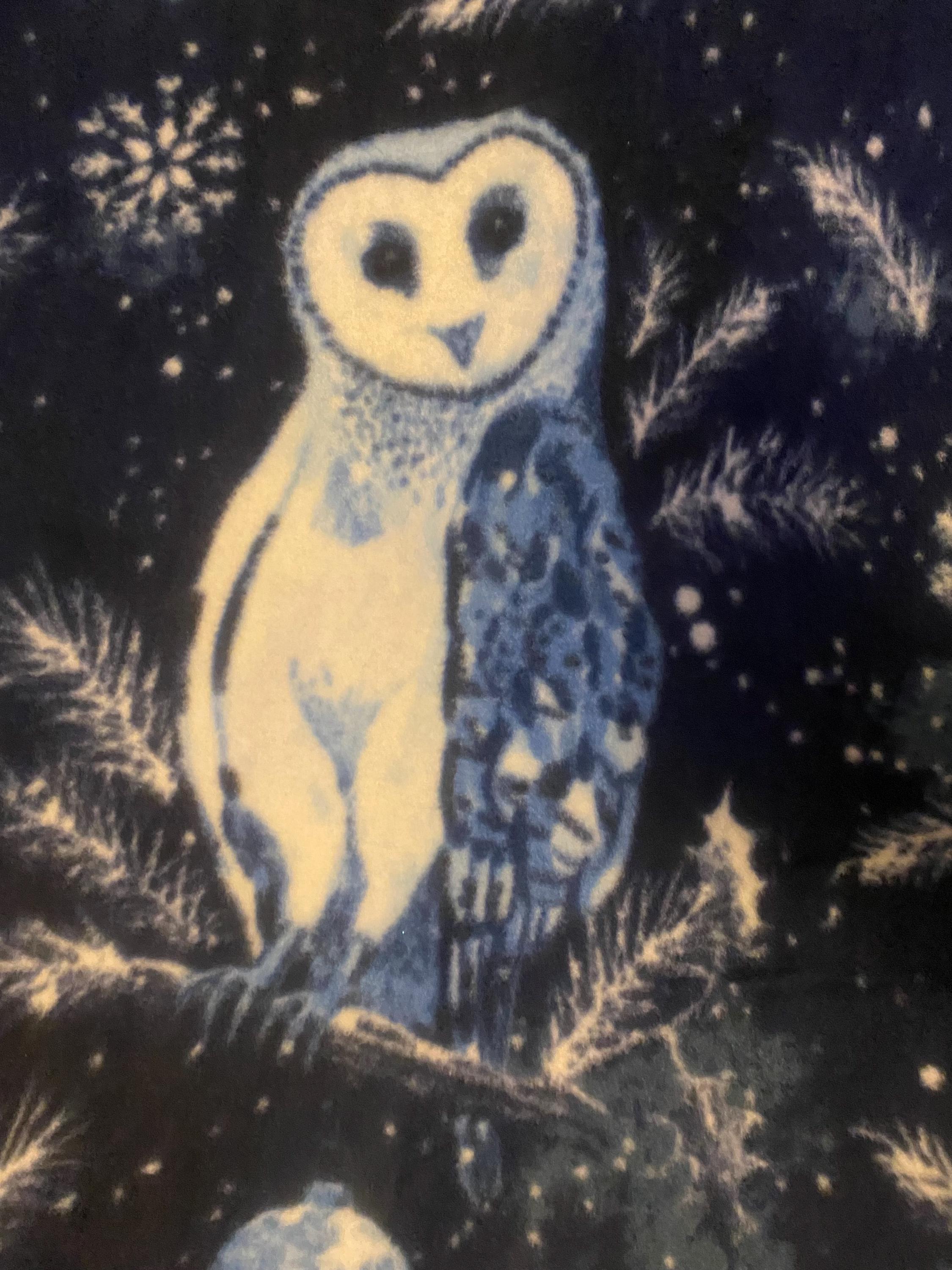 Owls in Many Shades of Blues Flying, Perching, Posing on Blue with Light Blue Hand Tied Fleece Blan