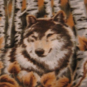 Pode incluir: Um close-up do rosto de um lobo, com um padr&atilde;o de pelagem marrom e cinza, contra um fundo de b&eacute;tulas e folhas marrons.