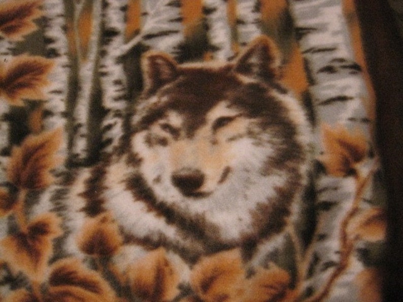 Pode incluir: Um close-up do rosto de um lobo, com um padr&atilde;o de pelagem marrom e cinza, contra um fundo de b&eacute;tulas e folhas marrons.