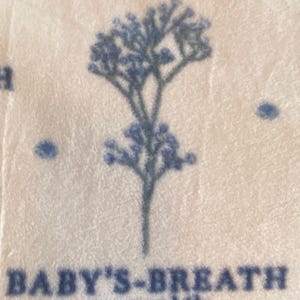 May include: A close-up of a white fabric with a blue floral print. The flower is called "Baby's-Breath" and the scientific name is "Gypsophila".