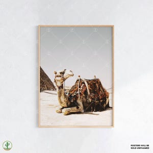 Stampa murale vintage con cammello del deserto e piramidi egiziane - Poster di viaggio Boho Sahara, stampa fotografica orientale per l'arredamento della casa