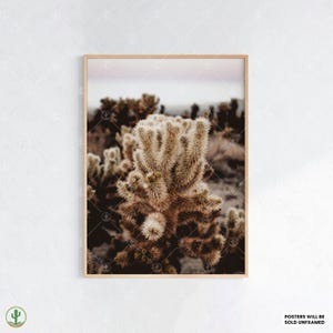 Cholla Kaktus Wüste Kunstdruck – Stimmungsvoller Sonnenuntergang Kaktus Fotografie, Boho Natur Wandkunst Südwestliches Botanisches Poster