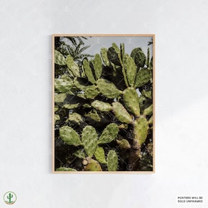 Kaktusfeigenkaktus Druck - Üppige grüne Wüste Botanische Wandkunst, Nahaufnahme Natur für rustikale oder Boho-Dekor