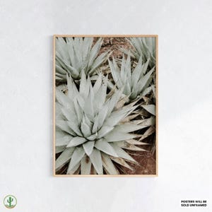 Agave Pflanze Wandkunst - Minimalistischer botanischer Druck in sanftem Salbeigrün, Wüsten-Sukkulenten-Poster für moderne Boho-Dekor