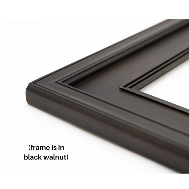 May include: Close-up of a black walnut picture frame corner. The frame has a classic design with a rounded edge and a recessed inner border. The text "(frame is in black walnut)" is visible.