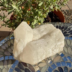 May include: A large, off-white quartz crystal cluster with a prominent, pointed crystal formation. The crystal sits on a mosaic-tiled surface, with a potted plant in the background. The quartz has a rough, textured surface and a translucent appearance.