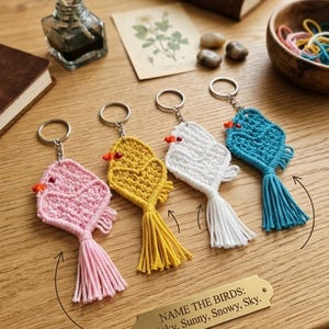 May include: Four macrame bird keychains in pink, yellow, white, and blue, each featuring a small orange beak and a long tassel. A brass plaque below reads: NAME THE BIRDS: Pinky, Sunny, Snowy, Sky. The keychains are arranged in a row on a wooden surface.