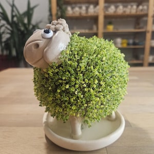 Op de afbeelding: Een keramische schapenpot met een groene, mosachtige plant die uit zijn rug groeit. Het schaap heeft een wit gezicht met zwarte ogen en een bruin, krullend wollen topje.