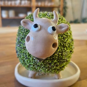 Może przedstawiać: Kapryśna ceramiczna doniczka w kształcie krowy z zielonym, teksturowanym korpusem i jasnobrązową twarzą. Krowa ma duże, wyraziste oczy i małe rogi. Stoi w białym, płytkim naczyniu, idealnym do małych roślin.