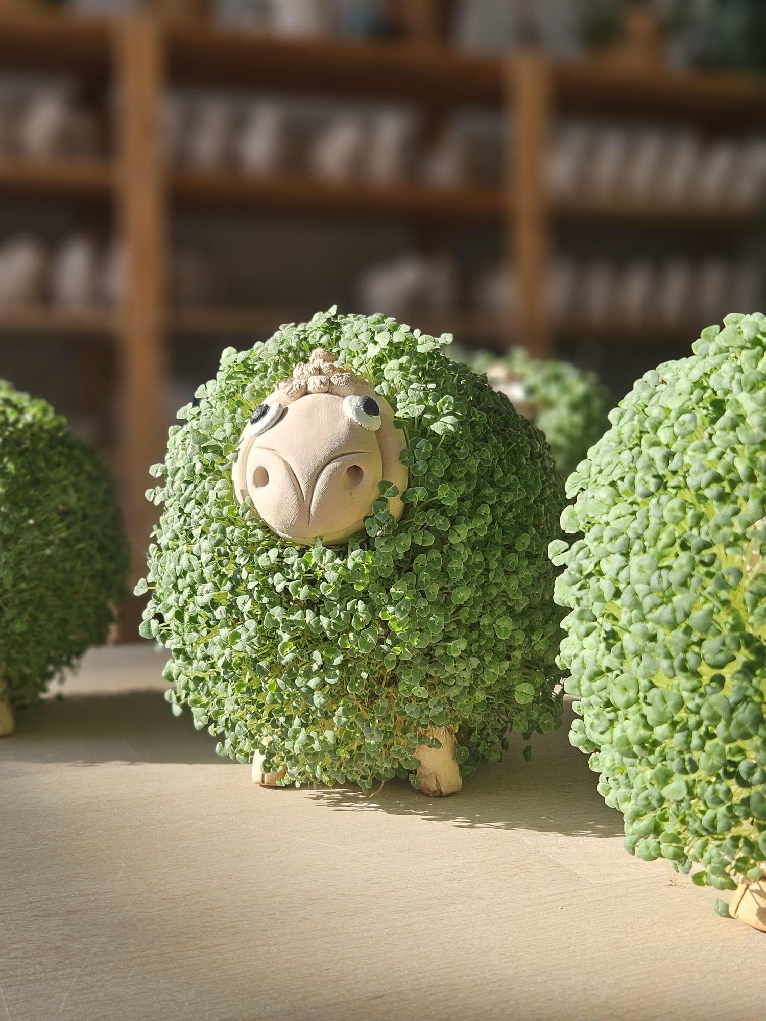 Sheep Shaped Micro-greening Ceramic Pot - Etsy