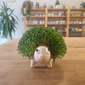 Op de afbeelding: Een keramische schildpadplanter met een weelderige groene plant die uit zijn rug groeit. De schildpad heeft een lichtbruin lichaam, kleine pootjes en een lachend gezicht. Hij staat op een houten tafel.