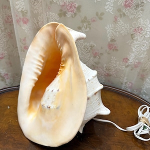Lampe coquillage vintage - Conque lumière naturelle - Décoration de plage côtière - Lueur ambiante chaude - Style Tiki Mid-Century. 10"x10"x10"