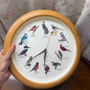 May include: A round wall clock with a light wood frame and a white face featuring illustrations of twelve different North American bird species arranged around the dial. The clock has black hour, minute, and second hands and the text Audubon Quartz.