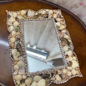 Könnte beinhalten: Rechteckiger Spiegel mit einem Rahmen, der vollständig mit verschiedenen Muscheln verziert ist. Die Muscheln in Weiß-, Beige- und Brauntönen bilden einen strukturierten Rand um das reflektierende Glas. Der Spiegel steht auf einer dunklen Holzoberfläche.